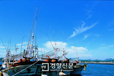 어업회사법인 조이솔트(주) | 새우잡이배·염전으로 다섯 번 팔려간 50대…“아무도 지켜주지 않았다”