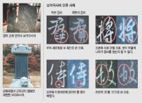 비문 오류 수두룩…보각국사비 엉터리 재현