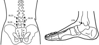 “복합부위 통증증후군, 적절한 치료점 선택 중요”