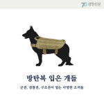 [카드뉴스] 조끼를 입은 개