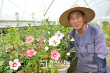 무궁화 10만여그루 심은 무궁화 박사 ‘송석응’씨