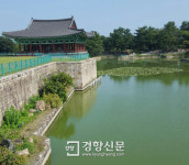 경주 안압지 관광객들 “앗, 물색깔이 왜 저래”
