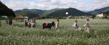 당기고 풀고, 은빛 가을을 낚다 ‘평창’