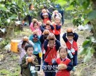배 수확했어요