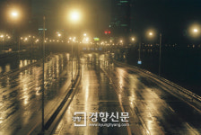 서울 도시고속도로 9년간 사망자 224명…올림픽대로 가장 많아