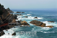 강릉 정동심곡 바다부채길 낚시 전면 통제