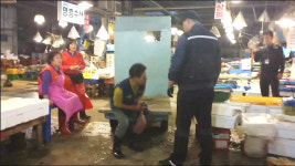 [단독]노량진수산시장 상인-수협 극한대치 8개월, 경비업체는 노다지