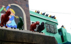 부산 달동네, 골목마다 숨은 사연과 숨바꼭질하다