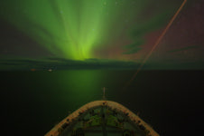 북극의 밤이 열리자, 초록의 융단폭격이 시작됐다