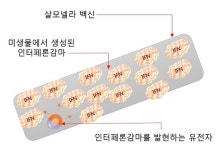 “피부암 치료에 한줄기 서광이 비치다”