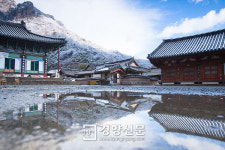 전남 장성 백양사, 내년부터 예산 10% 사회 공헌 공약