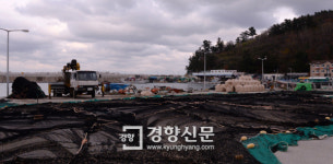 파도에도 쓸리지 않는 결심을…삼척 갈남항·갈남 마을