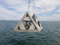 서해 태안 앞바다에 ‘바다목장’ 조성