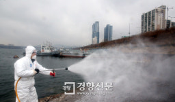 [경향포토]한강에도 조류 인플루엔자,,,