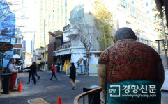 [포토뉴스] 코끼리가 지붕에?···서울 필동 길거리 미술관