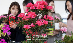 [경향포토]봄 꽃향기 가득한 서초구청