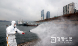 충남 홍성 오리농장서 AI 의심신고