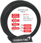 금호타이어 ‘친정’ 못 가나