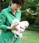 [김진호의 세계 읽기]대통령의 애견(First Dog)