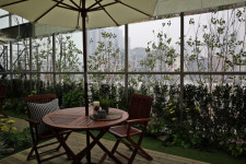 ‘마당 있는 집’의 대변신