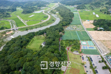 ‘뿌리썩음병 시름시름’ 천년 상림숲 살리기 본격화