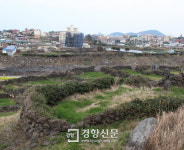 불탄 집터엔 풀만 무성…방치된 제주 4·3유적지