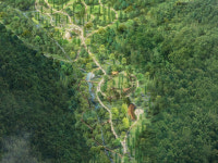 강원랜드, 정선 고한 무릉지구에 ‘치유의 숲’ 조성