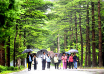 전철 타고 수목원으로 봄 소풍 떠나요