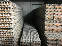 무차별 살처분에 생명존중 보여준 동물복지농장