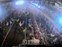 무차별 살처분에 생명존중 보여준 동물복지농장
