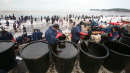 ‘태안의 기적’ 재조명