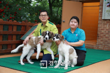 조선시대 궁중그림 속 얼룩 삽살개 복제 성공…대전 오월드서 일반에 공개