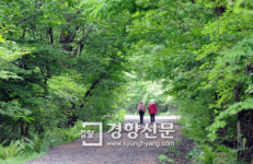 제주 사려니숲길 주차장 대중교통 체크하고 가세요…다음달부터 무료셔틀 중단