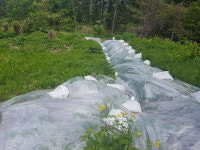 까끼등마을 주민 언제 귀가하나