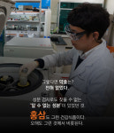 홍삼은 억울하다?