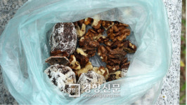 기좀 펴고 살자[지리산, 걷고 찍고-2일차]