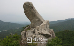 진안 하초마을 숲·담양 용소 등 4곳 국가산림문화자산 지정