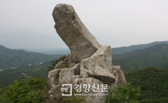 진안 하초마을 숲·담양 용소 등 4곳 국가산림문화자산 지정