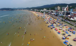 충남 태안 해수욕장 28곳, 8일 개장[태안군]