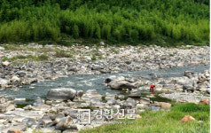 바다로 간다고 해서 반드시 큰 고기를 잡을 수 있는 것은 아니다.[지리산, 걷고 찍고-6일차]