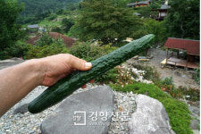 바다로 간다고 해서 반드시 큰 고기를 잡을 수 있는 것은 아니다.[지리산, 걷고 찍고-6일차]