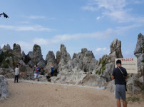 동해 추암~삼척 증산 연결도로 13일 개통