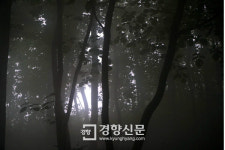 하룻밤에 강을 아홉 번 건너다[지리산, 걷고 찍고-7일차]