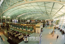 대한항공·아시아나항공 인천공항 라운지 식품위생법 적발