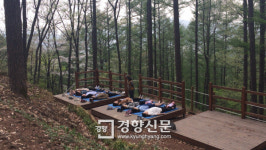 “숲에서 힐링하세요” 산림치유 프로그램 무료 운영[경기도]