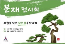 아브뉴프랑 판교, 20일부터 분재 전시회 개최, 세월을 담은 작은 숲을 만나다