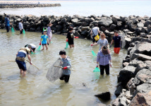 “어촌에서 즐기는 여름휴가” 충남도, 서해안 어촌체험마을 5곳 소개[충남도]