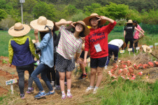 올 여름에는 워터파크가 아니라 농장으로 떠나자