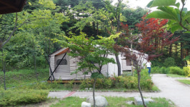 양양 송이밸리자연휴양림 숲속야영장 26일 개장[양양군]