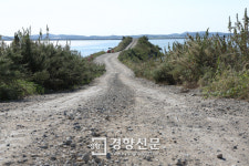 아라메길·땅끝길·슬로길·다랭이길...그 해안길을 또 걷고 싶다.